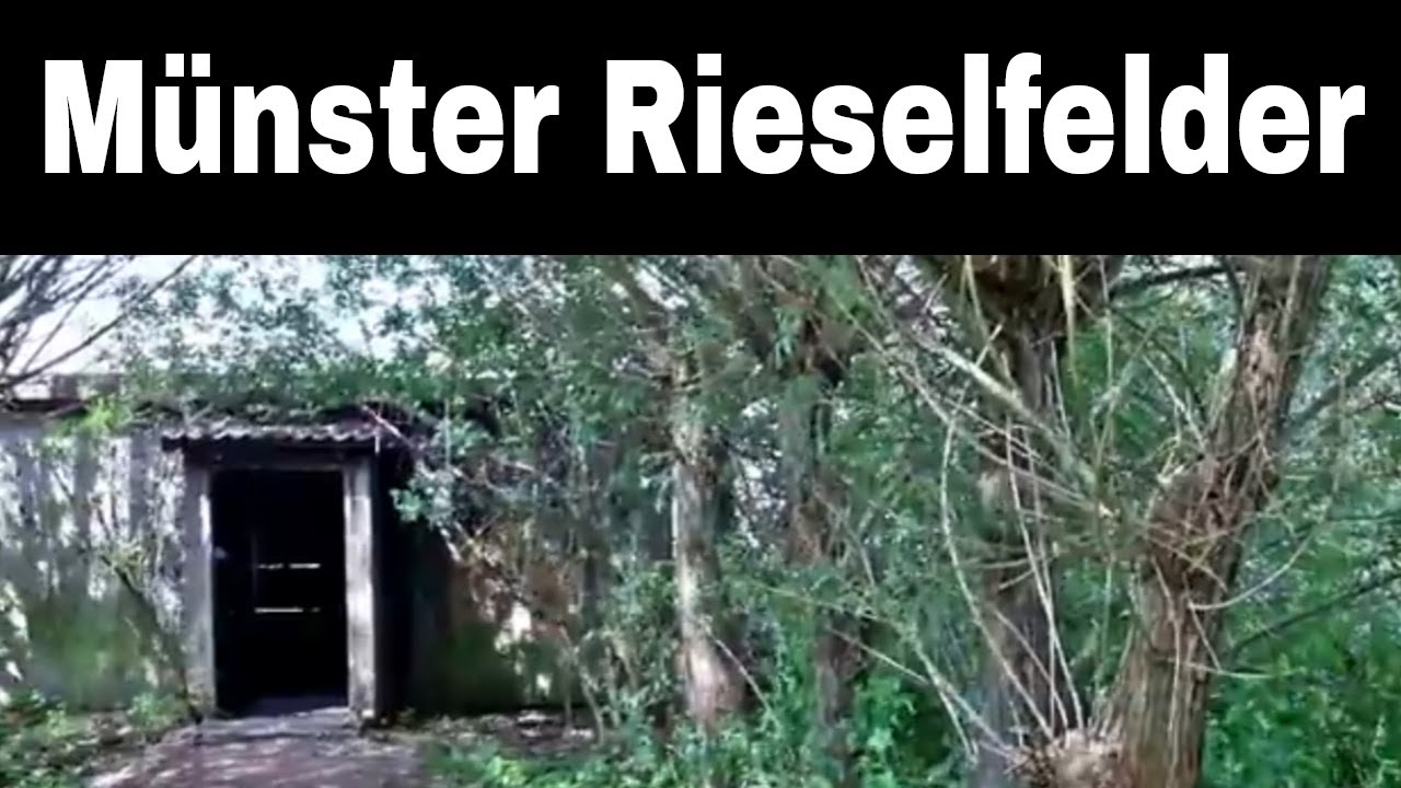 M&uuml;nster Rieselfelder - Naturschutzgebiet in M&uuml;nster Coerde