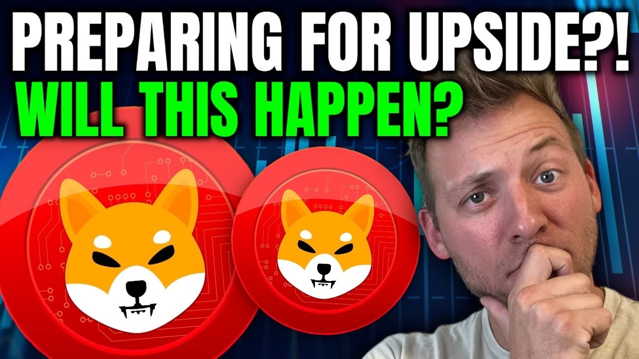 Шиба Ину — готовится к перевернутому миру?!! Это произойдет?!
