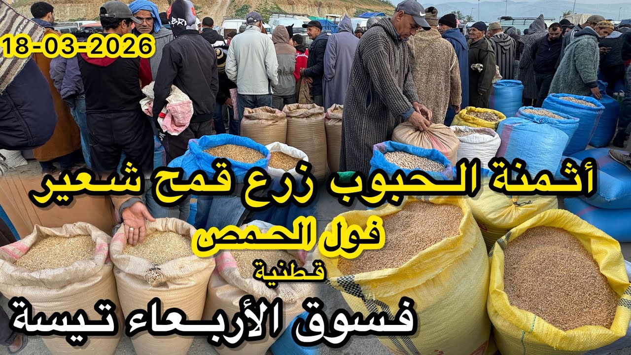ثمن حبوب زرع قمح شعير فول حمص قطنية فسوق أربعاء تيسة 18/03/2026