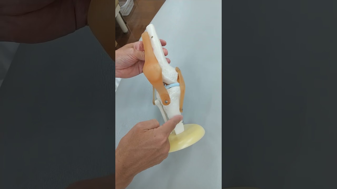 スポーツでの膝の痛み　春日部　ときだ接骨鍼灸院