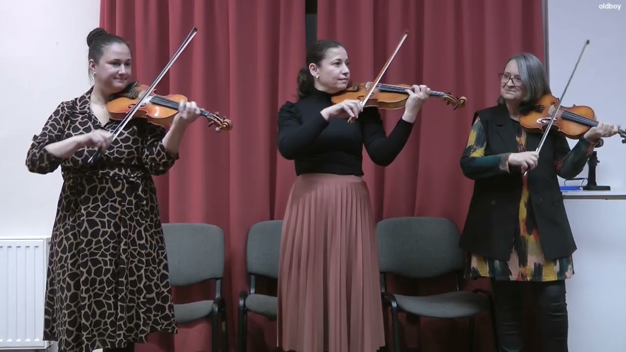 Triolina Folk - Bogyiszlói muzsika