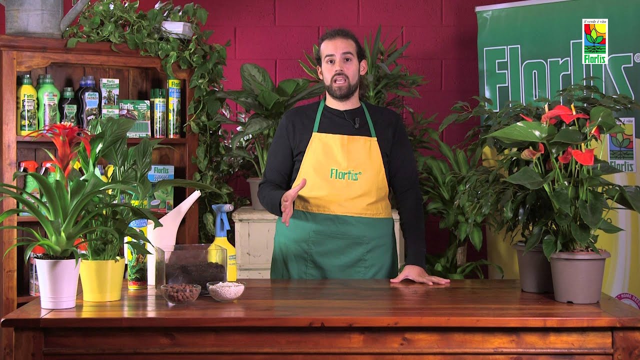 Flortis Tutorial 
