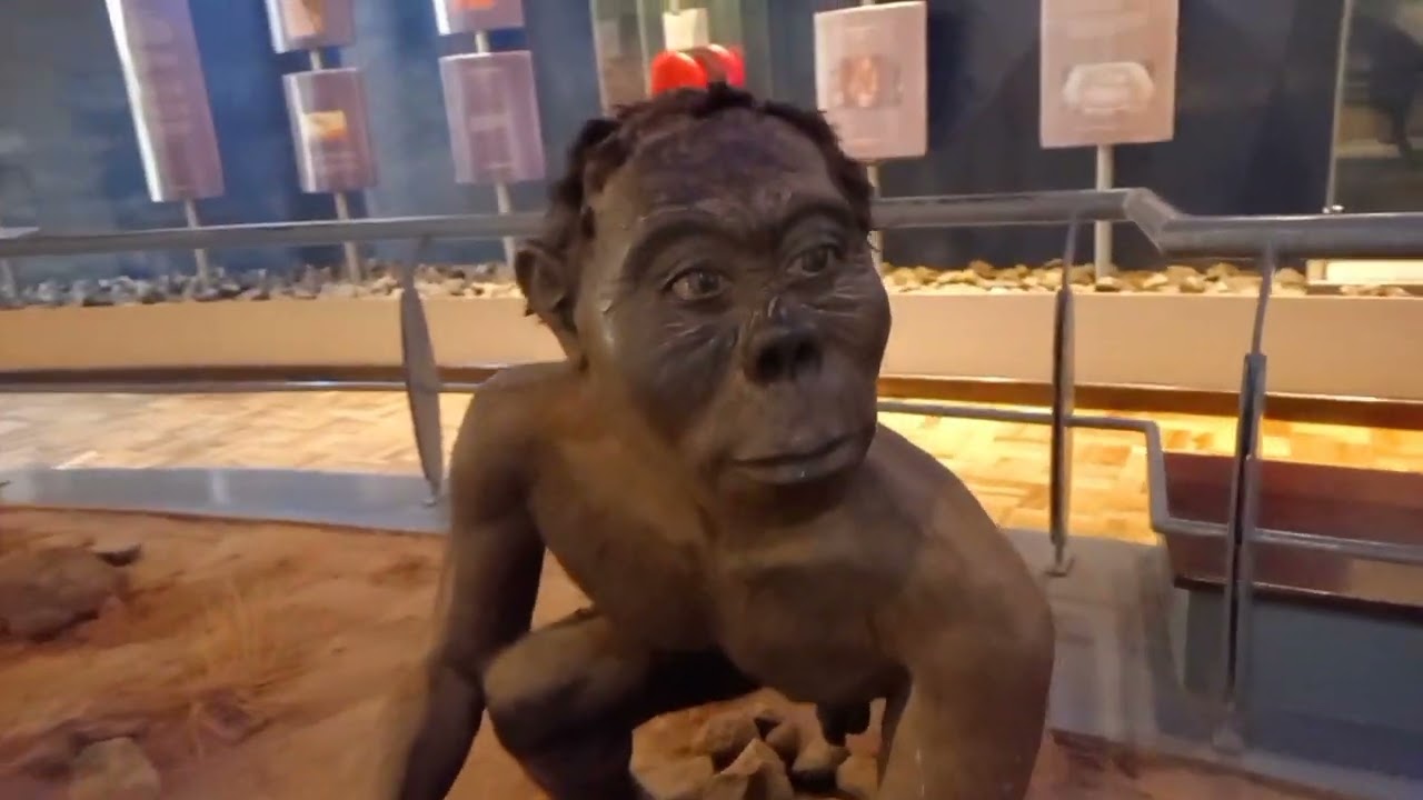 INSIDE KENYA'S BIGGEST MUSEUM || KENYAN HERITAGE ||NAIROBI NATIONAL MUSEUM 😍 ||