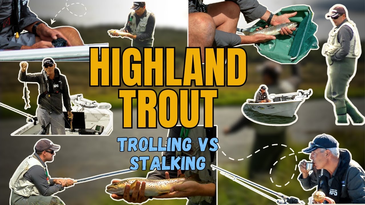 Ловля форели – дело непростое!