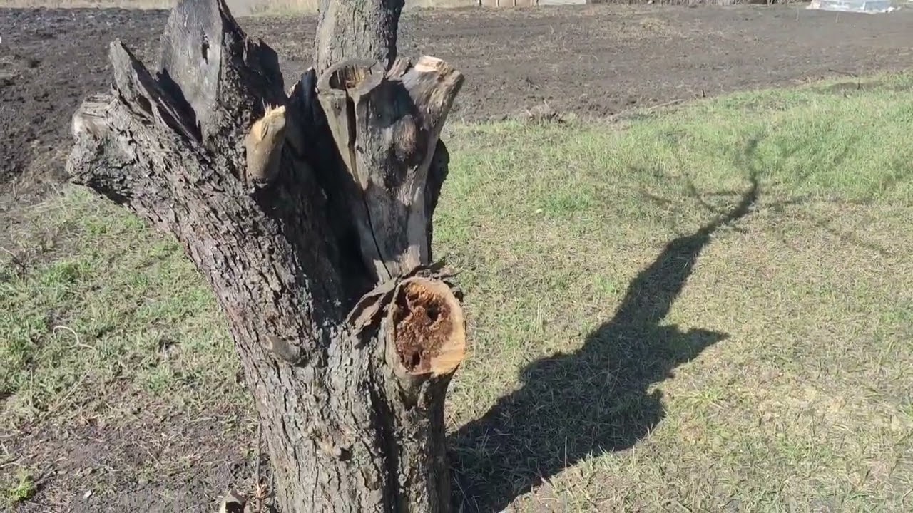 Утренний обзор... Отчёт подружке...