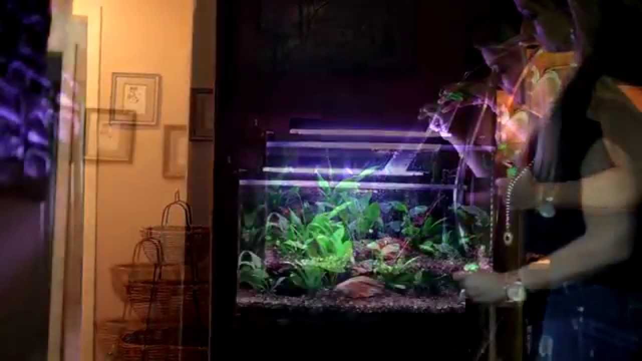 No Spill Clean and Fill Water Change System by Python | Big Al's