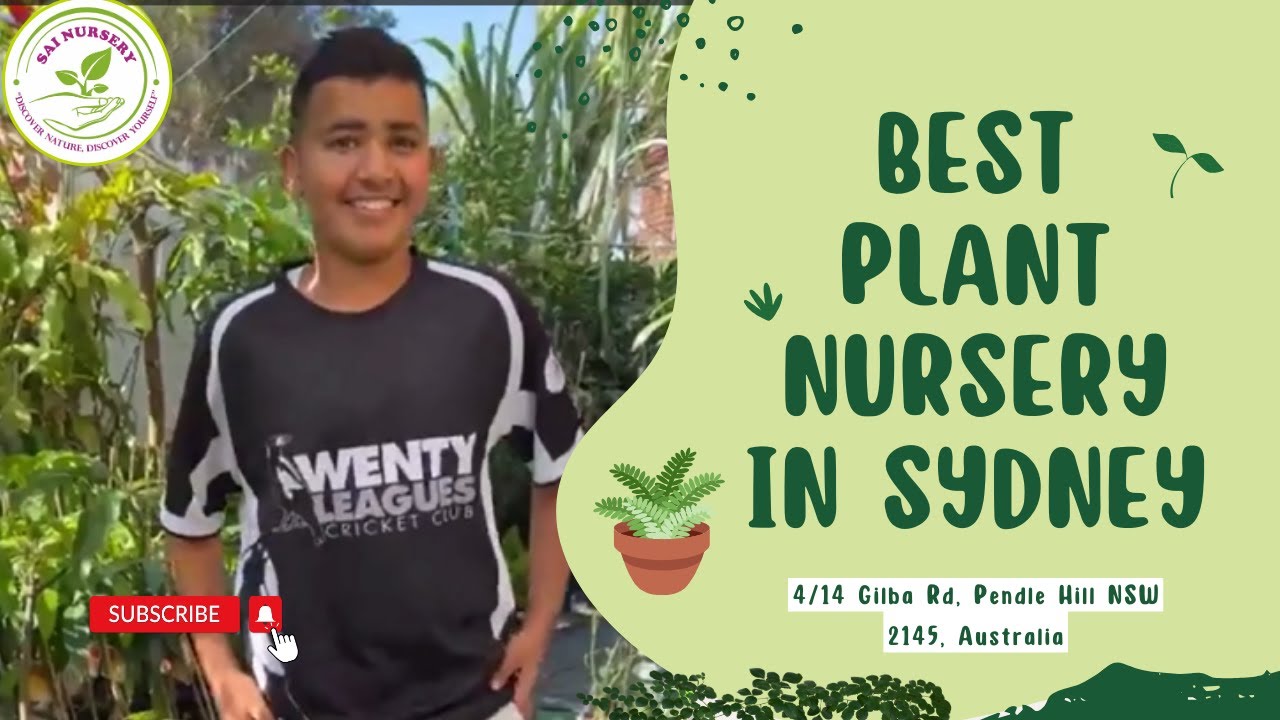 Best Plant Nursery in Sydney - Sai Nursery | The Best Places to Buy Plants in Sydney for 2023
