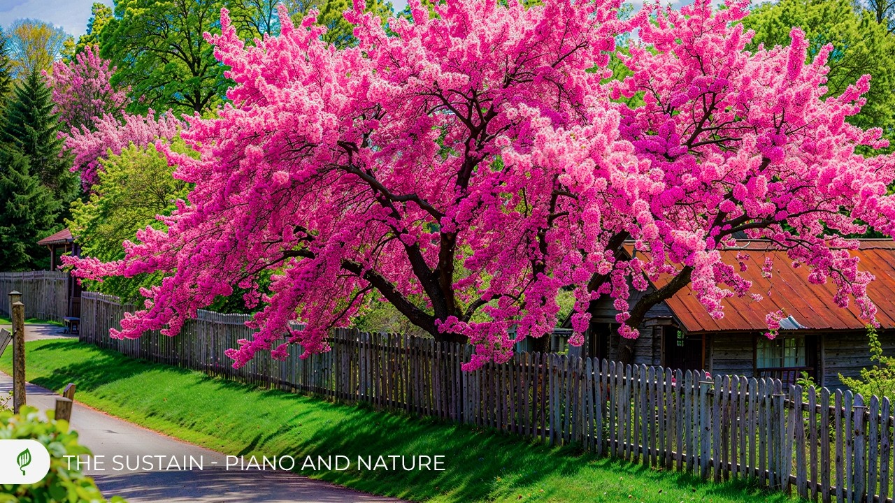 Spring Green Meadow & Piano 🌱 Deep Relax • Emotional Healing • Inner Peace #37