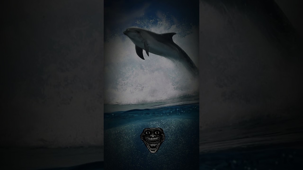 Dolphin Lover,#viralshort#lovestatus#edit