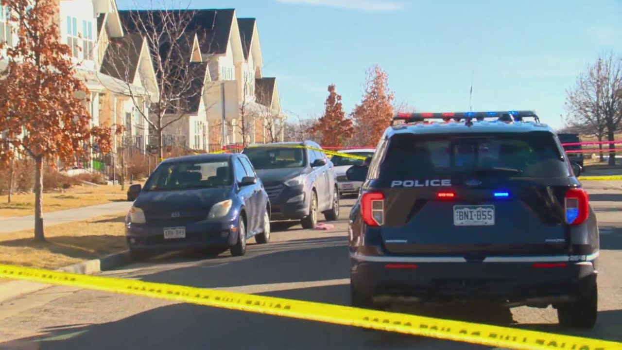 1 in critical condition after Boulder dog attack