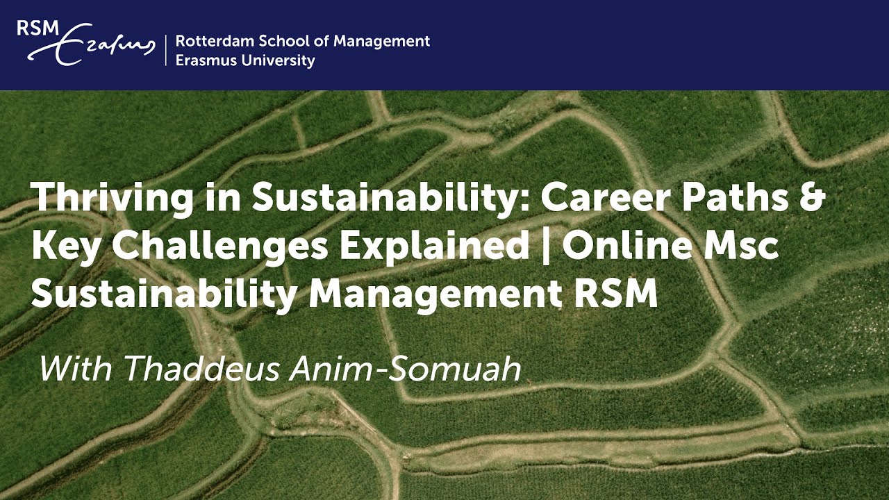Thriving in Sustainability: Career Paths & Key Challenges | Online Msc Sustainability Management RSM