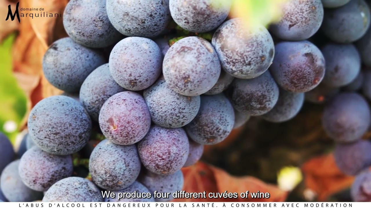 Vidéo Domaine Marquiliani