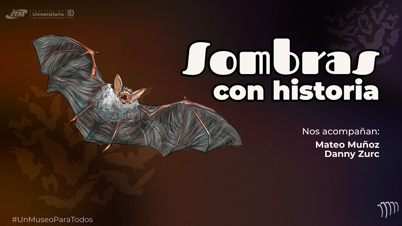 Sombras con historia