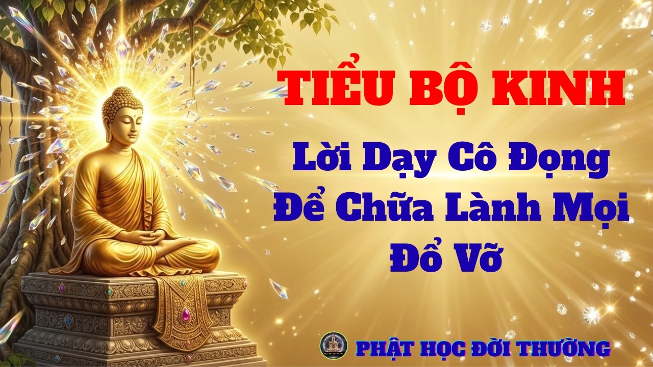 Tiểu Bộ Kinh: Lời Dạy Cô Đọng Để Chữa Lành Mọi Đổ Vỡ Và Thăng Hoa Tâm Hồn | Phật Học Đời Thường