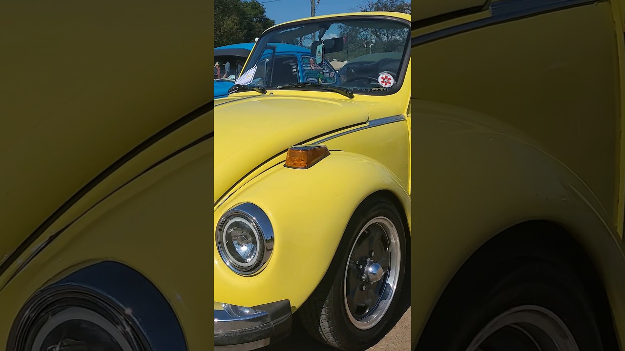 Circle Yer Wagens Volkswagen Show #thecult #volkswagen