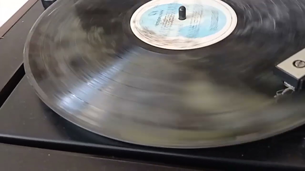 vinil fantasma