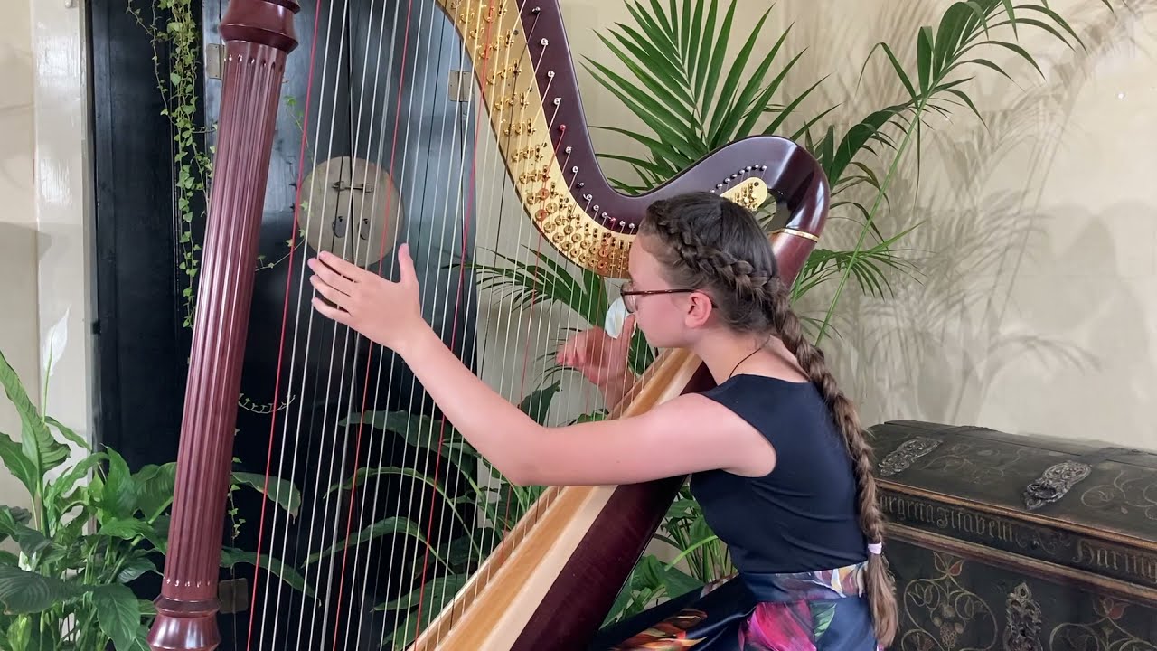 G. Donizetti / A. Zabel  – Harp solo from the opera „Lucia di Lammermoor