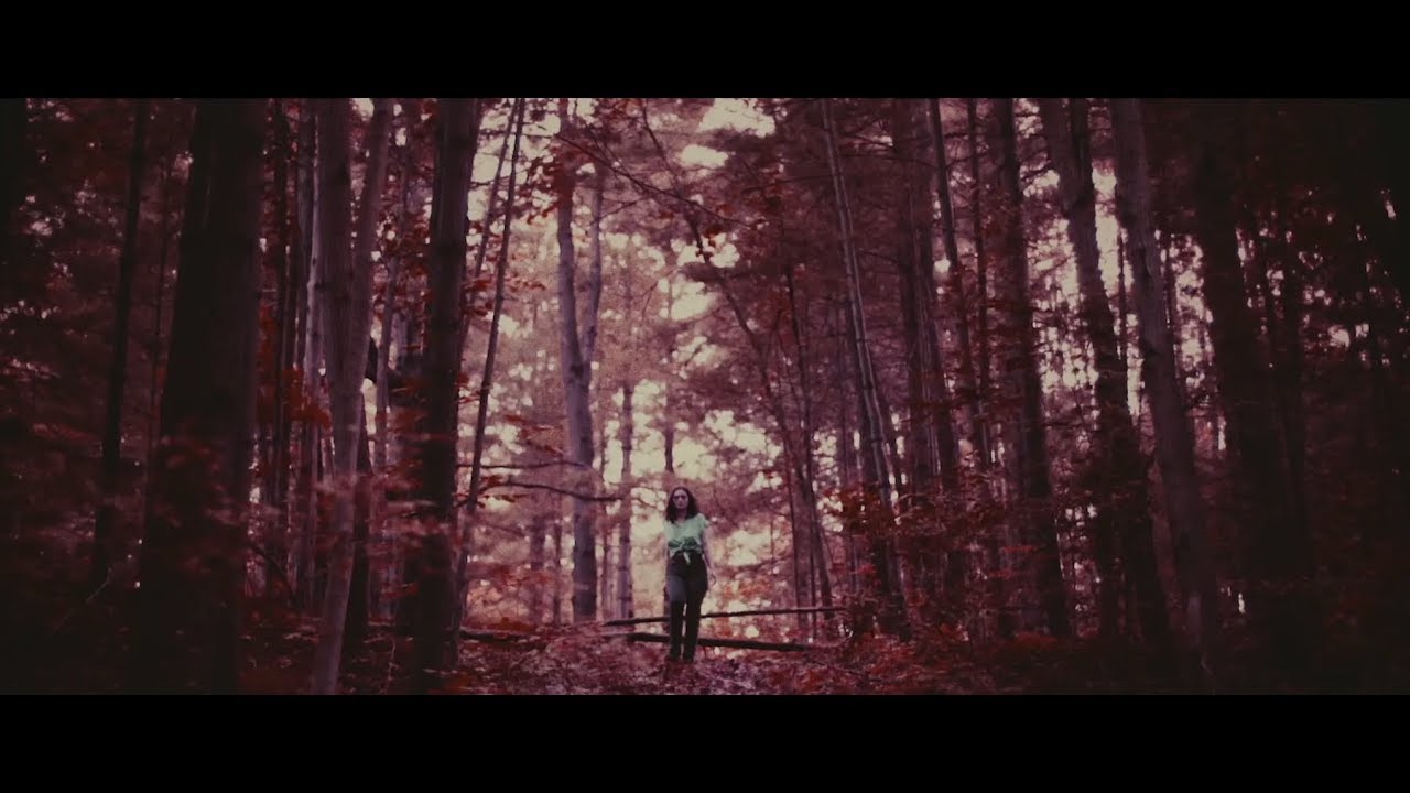 Exitmusic  - Trumpets Fade (Official Video)