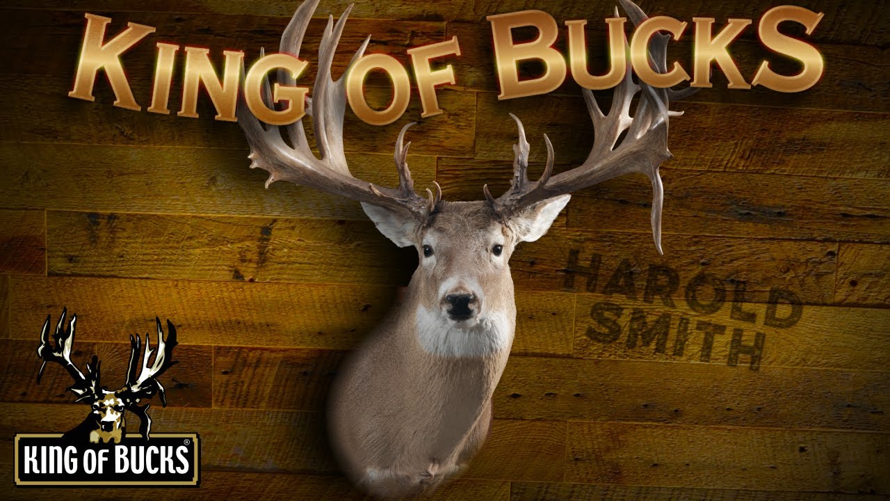 The Harold Smith Buck | King Of Bucks