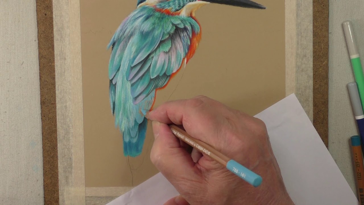 Drawing Feather Detail with Pastel Pencils