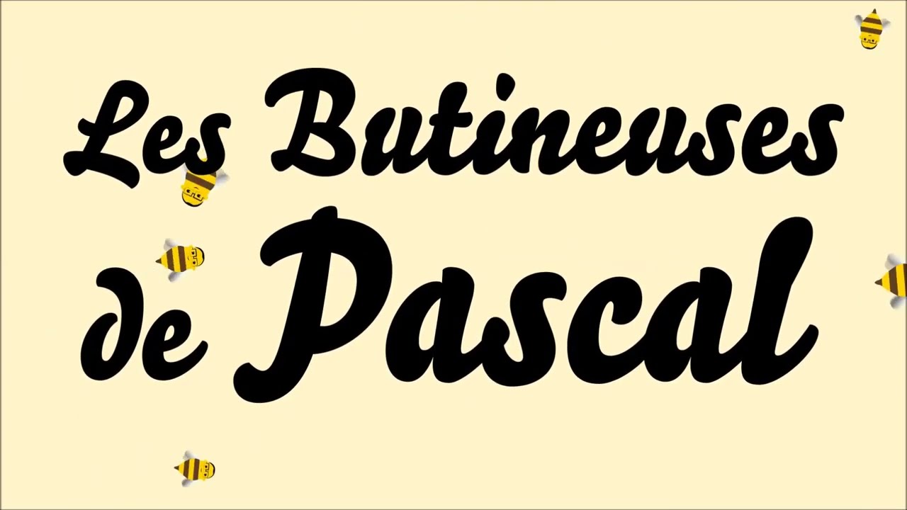 Vers un nouveau type de ruches ?