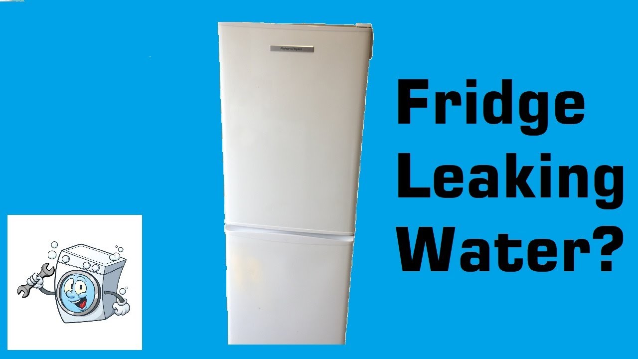 How to clear blocked drain on Fisher & Paykel E240B Fridge