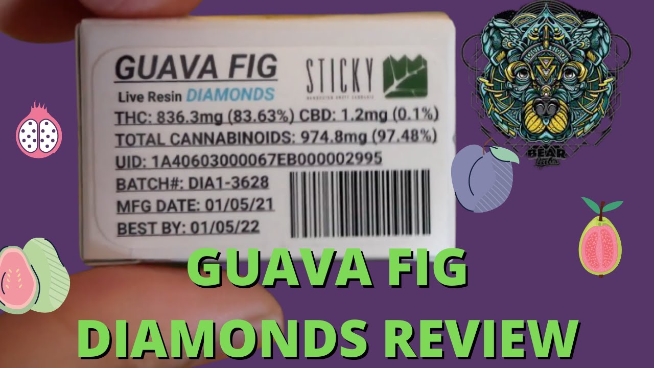 I CAN'T RESIST GUAVA STRAINS | Bear Labs Guava Fig Diamonds Review