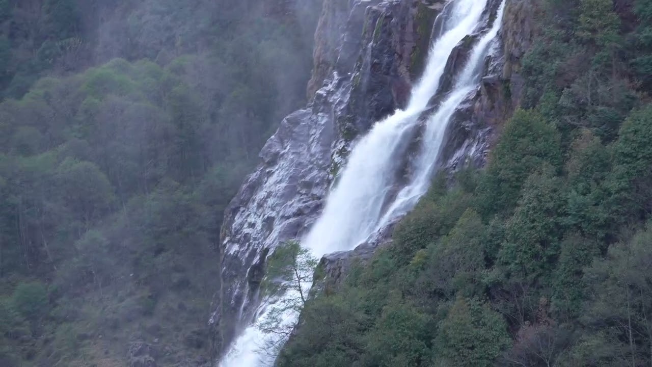 C0024