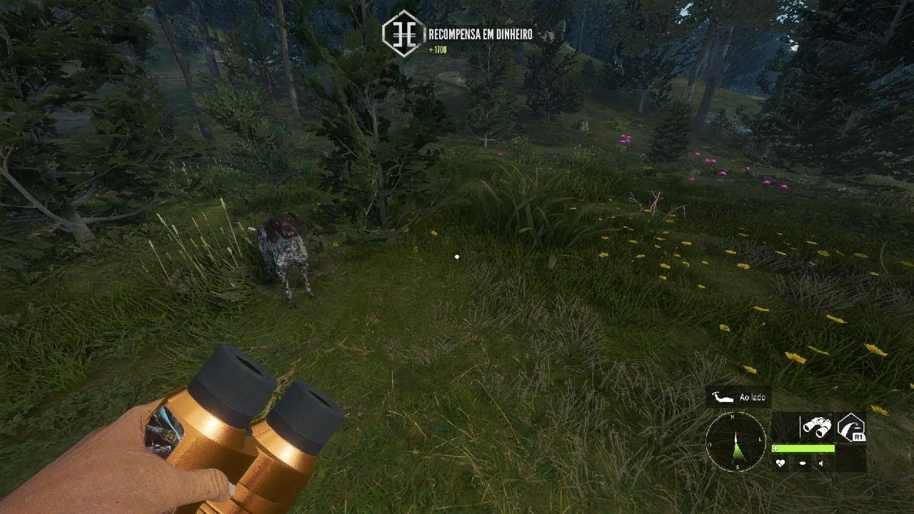 theHunter   Great Veado Vermelho 💯
