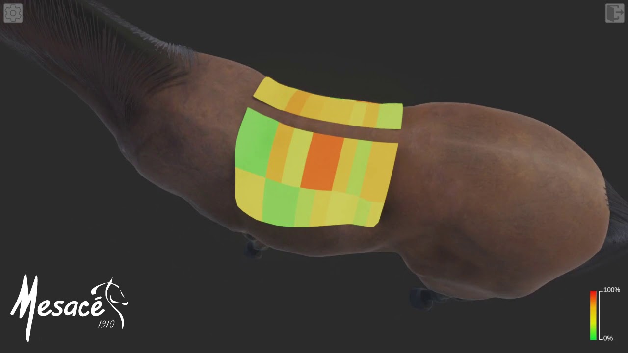 Equisense, teconología para medir los bastos en lomo de caballo usado en la fabricación de sillas.
