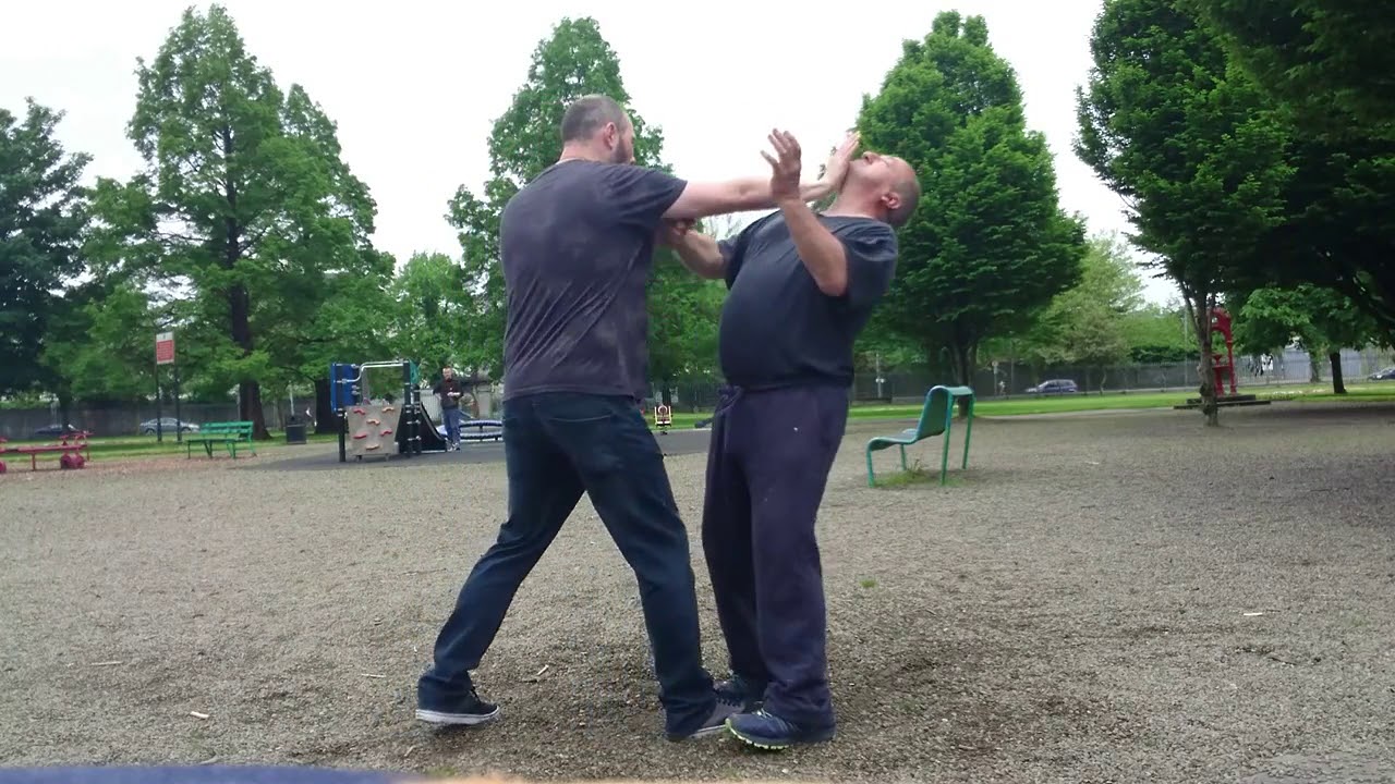 Beginners Basics - Baguazhang eight diagram boxing- striking , locks and take-downs