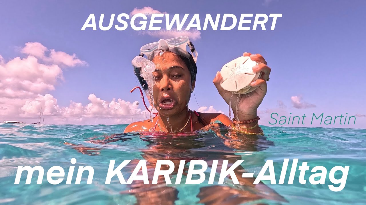 Tag in meinem Leben in der Karibik | Saint Martin, Schnorcheln, Sanddollar, Auswandern