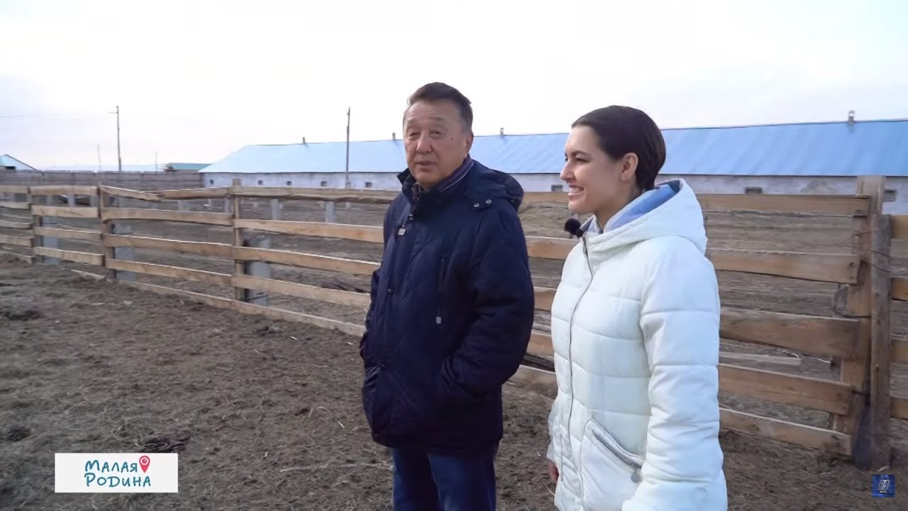 Уникальные лошади бескарагайского типа казахской породы разводят в селе Ерназар | Малая родина