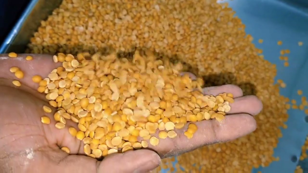 red toor dal - jagadamba bidar