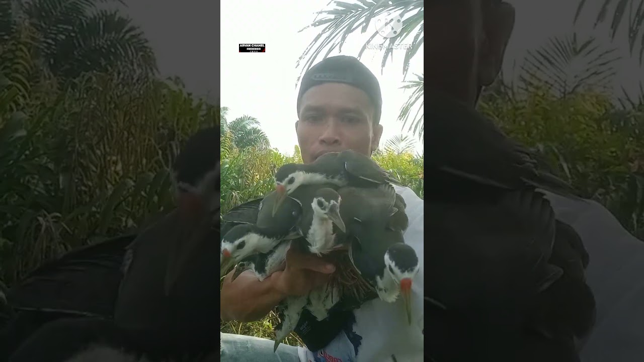 jumpa spot gacor lagi kita/memang paling gacor#jiratruak2