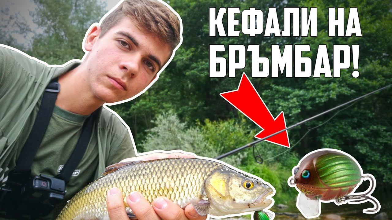 ПОВЪРХНОСТНА ПРИМАМКА БРЪМБАР ПРЕДИЗВИКА АТАКИ ОТ ГОЛЕМИ КЕФАЛИ! РИБОЛОВ В РОДОПИТЕ!