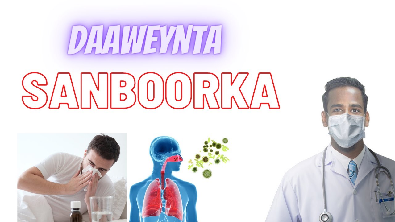 SANBOORKA. Daaweynta Sanboorka (Allergic Rhinitis) iyo Xasaasiyada