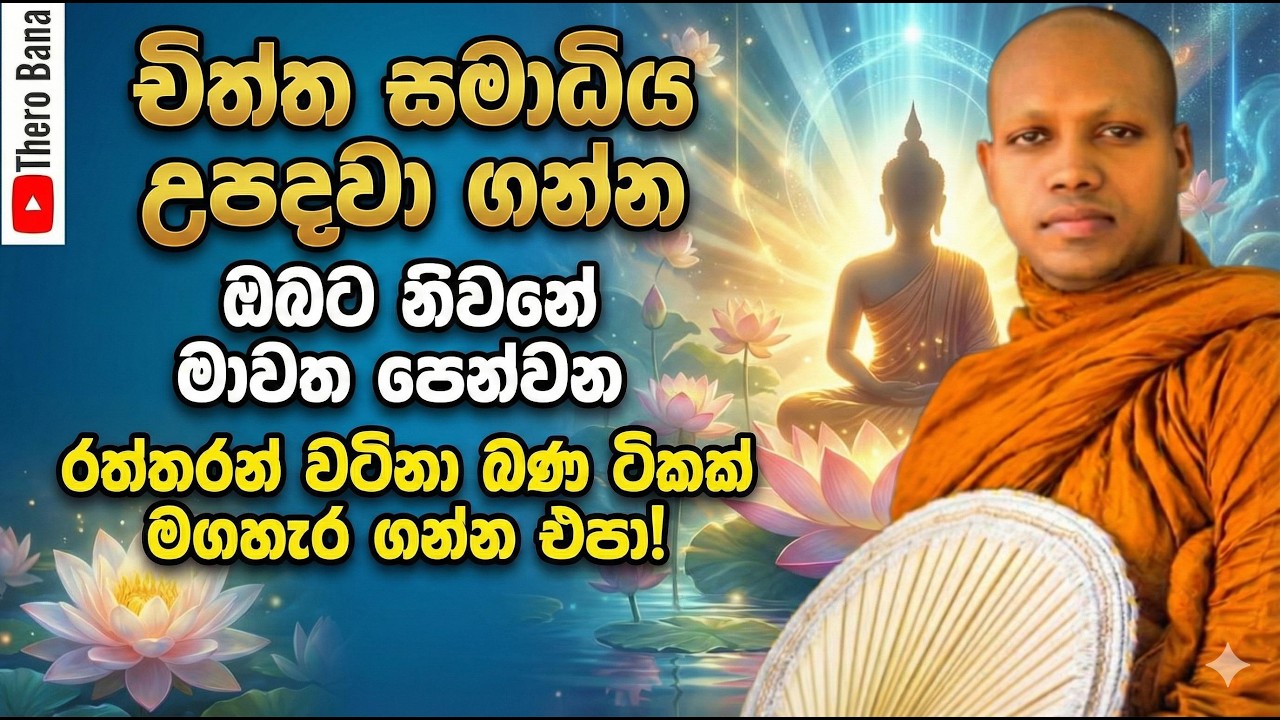 චිත්ත සමාධිය උපදවා ගන්න, නිවනට මග පෙන්වන රත්තරන් වටිනා බණක් | Hasalaka Seelawimala Thero Bana 2025