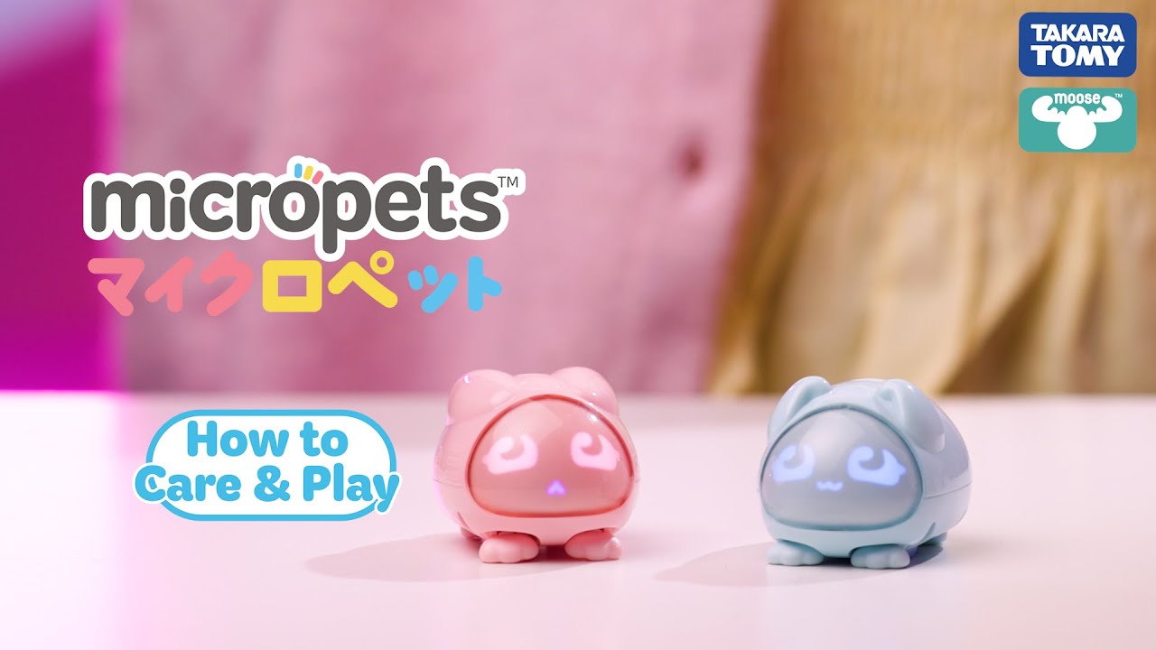 MICROPETS | HOW TO CARE AND PLAY
