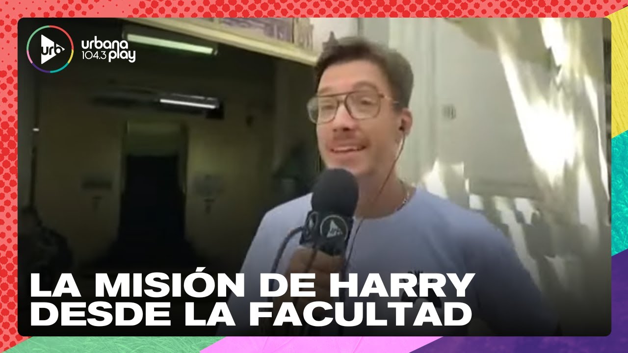 Harry busca su t&iacute;tulo de psic&oacute;logo por la Facultad | M&oacute;vil en #Perros2023