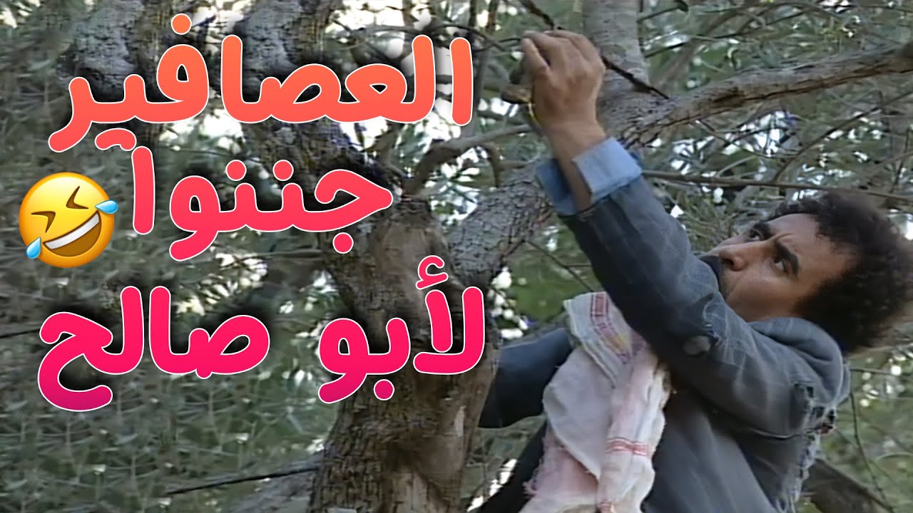 أبو صالح رح ينجن من ورا العصافير 🤣🤣🤣مسلسل طيبون جدا😍