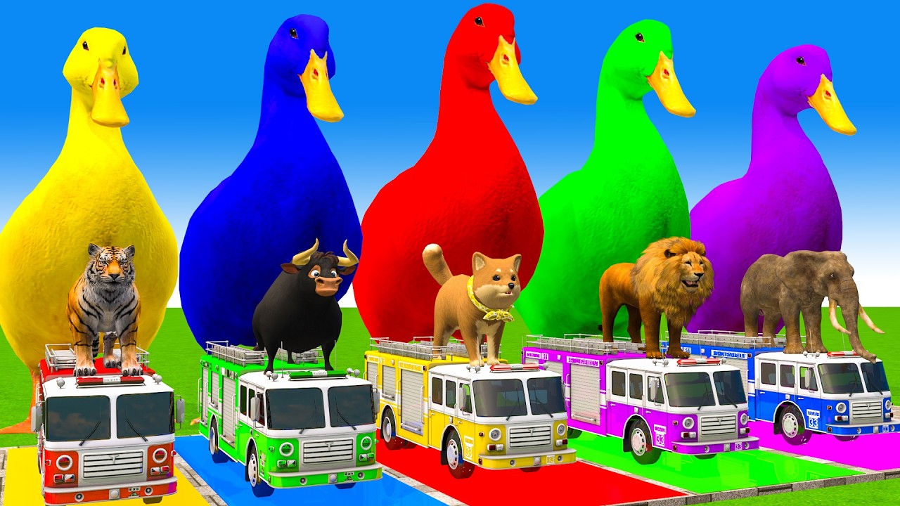 5 Giant Duck Cartoon,Cow,Elephant,Tiger,Lion,Dinosaur,Paint Wild Animals Crossing Fountain Animation