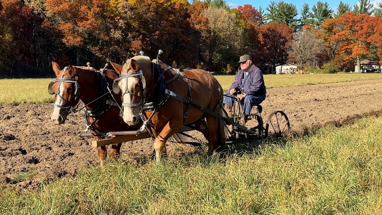 A visit with Don Copa Part 1 - Plows and Plowing