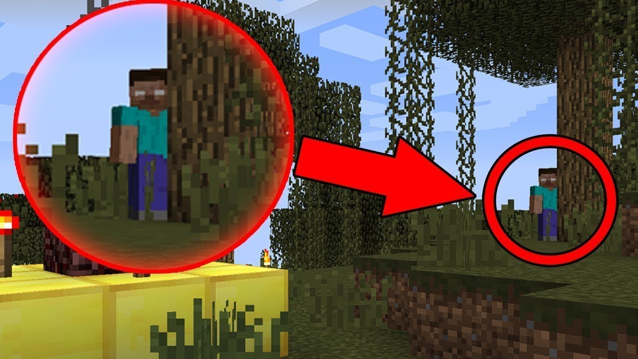 [REÁLNÉ FOTOGRAFIE] HEROBRINE nás napadl v Minecraftu!!! Nejstrašidelnější video na našem kanále!