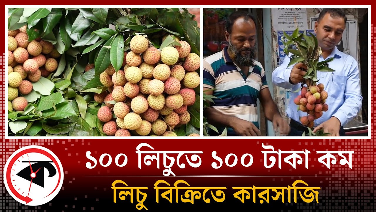 ১০০ লিচুতে ১০০টাকা কম, কারসাজি করে চলছে লিচু বিক্রি | bangladesh Lichu fruit | Vokta ovijan| Kalbela