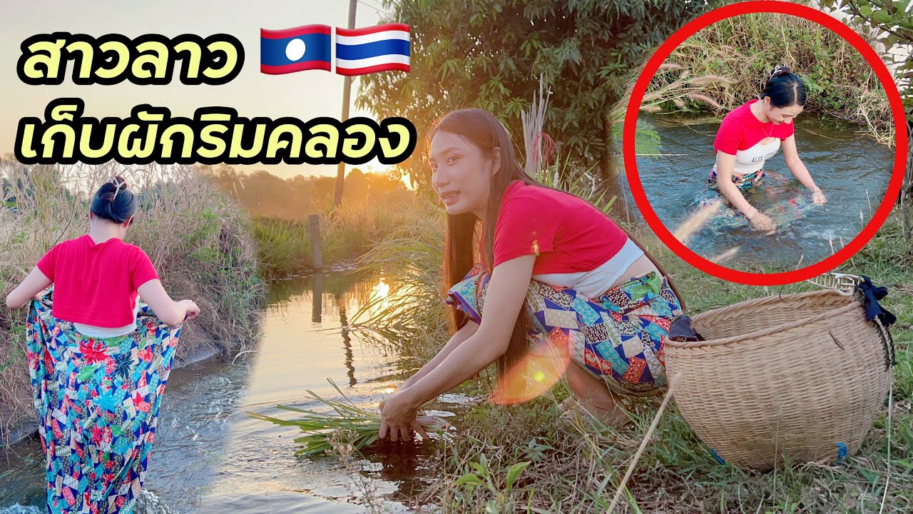 สาวลาว🇱🇦น้องน้อย มายามอ้ายอยู่ไทย🇹🇭 หาเก็บผักริมคลอง เล่นน้ำคลองเย็นสบาย