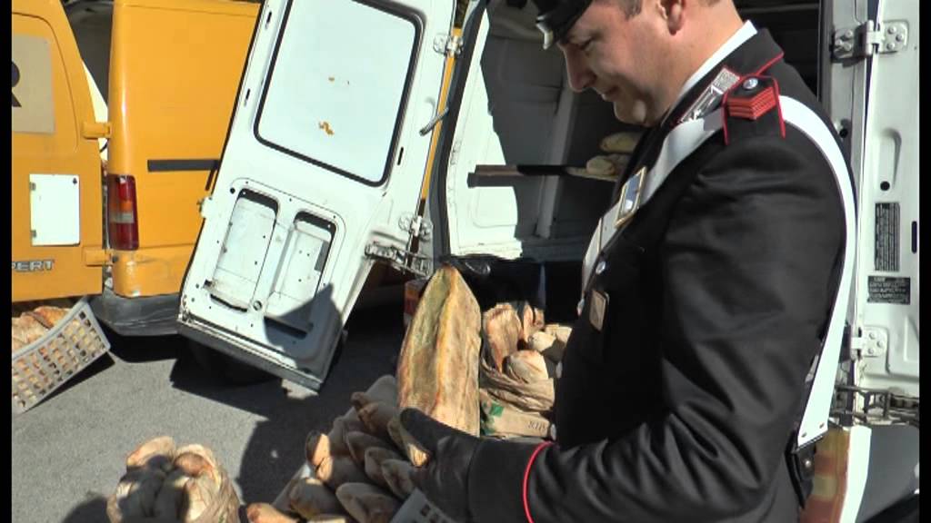 Napoli - Sequestrati nove forni abusivi (17.11.13)