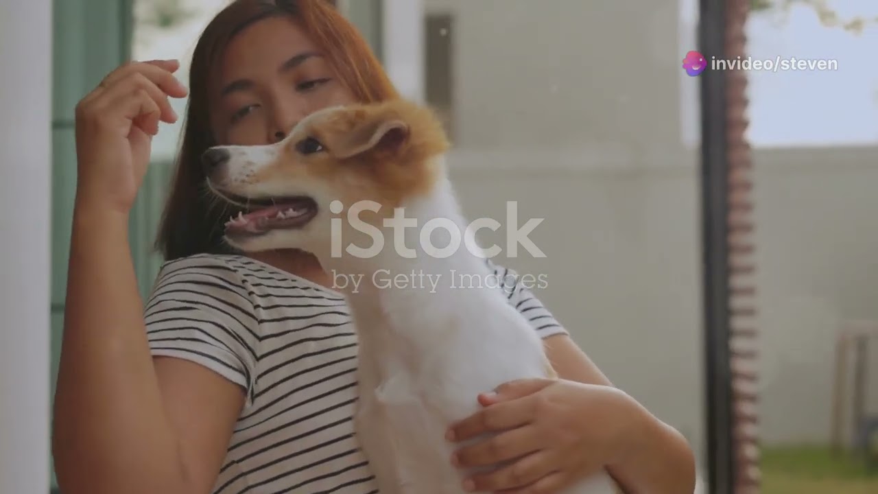 Loyalty Unleashed: The Dog-Man Difference