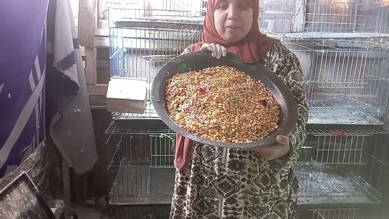 روتين للحمام خليت الاوضه  قشطه ورشيت الجير وعقمت المكان