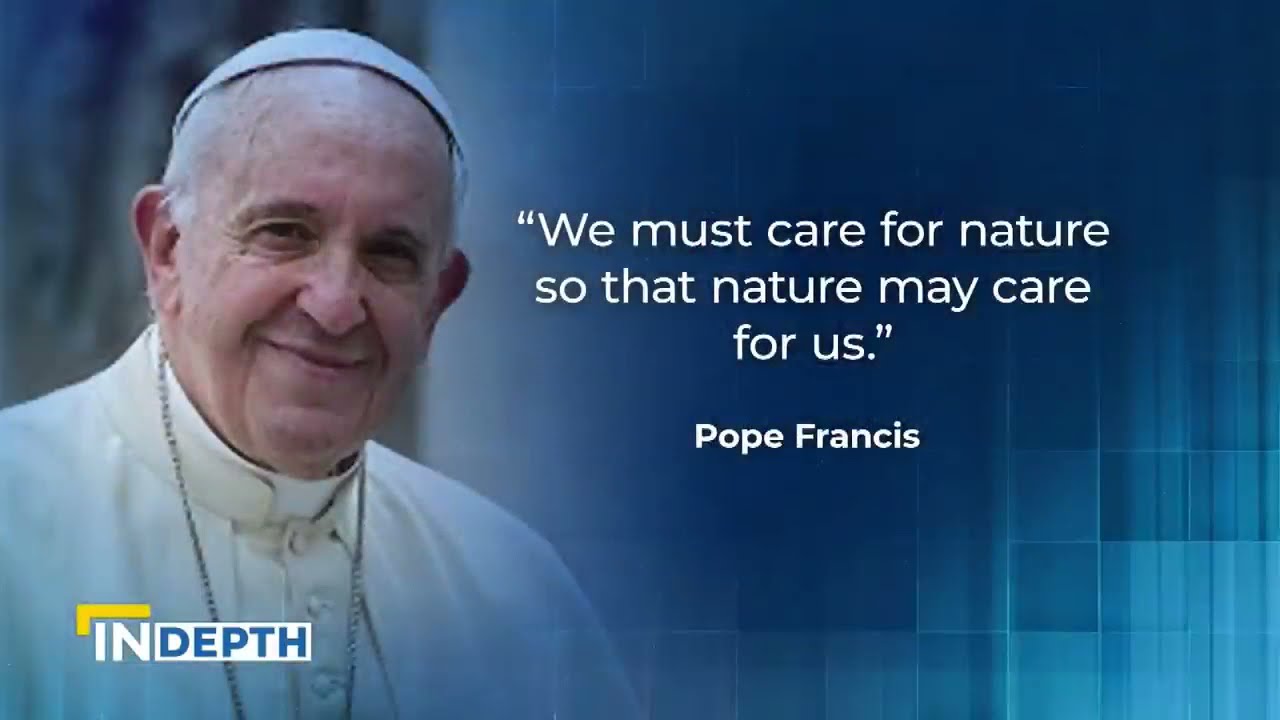 Understanding Pope Francis' Laudato Si': We are 